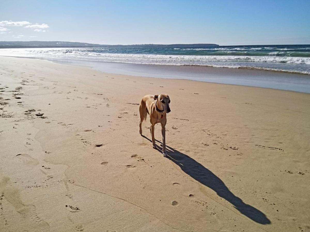 Beachcomber - Pet Friendly Merimbula Luaran gambar